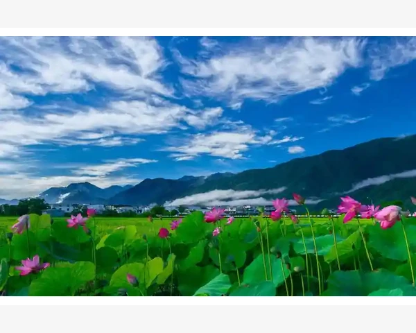 小企业会计核算优化路径与实践探索